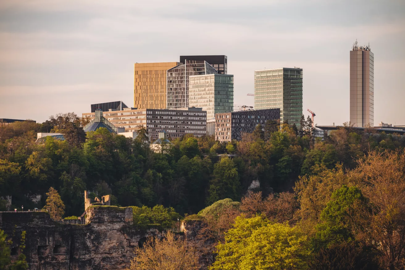 Luxembourg-April 2022: full bloom cherry tree in the city